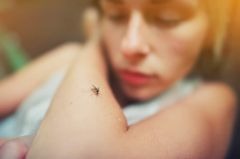 Kako se riješiti komaraca? (10 efikasnih načina)