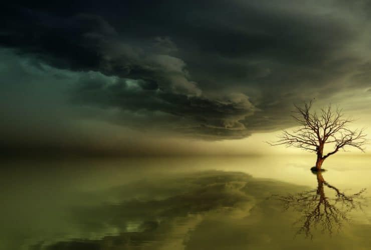 Drvo života: Što je i 10 zanimljivih činjenica koje donosi