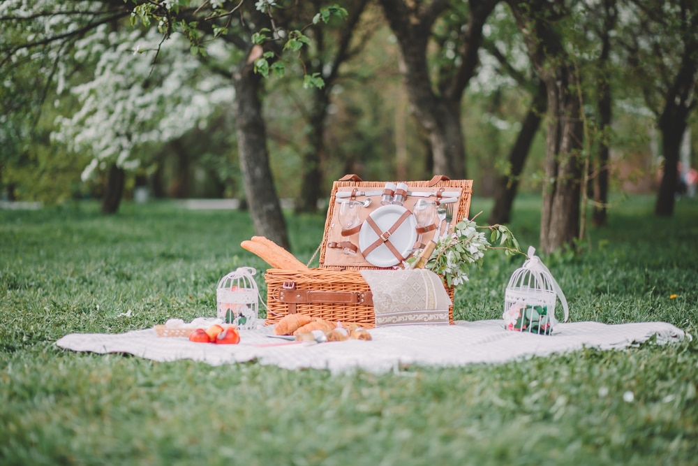 piknik u prirodi
